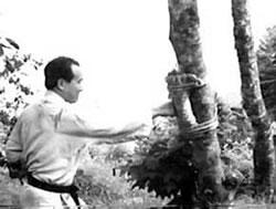 Masutatsu Oyama frappant sur un arbre