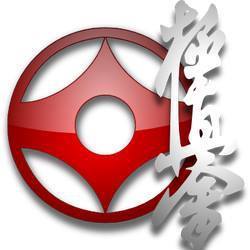 Logo Dojo Vaucelles