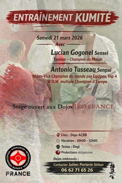 KYOKUSHIN KUMITE TRAINING