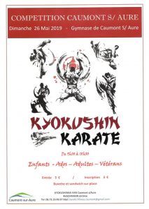 Read more about the article Compétiton Caumont Sur Aure Kyokushin